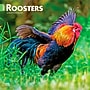 2027 BrownTrout Roosters 12" x 12" Monthly Wall Calendar (9798330711956)~#|#~sp320860400_sc7