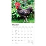 2027 BrownTrout Roosters 12" x 12" Monthly Wall Calendar (9798330711956)~#|#~sp320860403_sc7