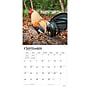 2027 BrownTrout Roosters 12" x 12" Monthly Wall Calendar (9798330711956)~#|#~sp320860404_sc7