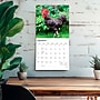 2027 BrownTrout Roosters 12" x 12" Monthly Wall Calendar (9798330711956)~#|#~sp320860405_sc7