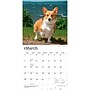 2027 BrownTrout Pembroke Welsh Corgis 12" x 12" Monthly Wall Calendar (9798330712717)~#|#~sp320860570_sc7
