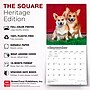 2027 BrownTrout Pembroke Welsh Corgis 12" x 12" Monthly Wall Calendar (9798330712717)~#|#~sp320860577_sc7