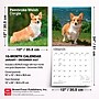2027 BrownTrout Pembroke Welsh Corgis 12" x 12" Monthly Wall Calendar (9798330712717)~#|#~sp320860578_sc7