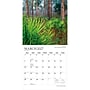 2027 BrownTrout America's National Parks 12" x 12" Monthly Wall Calendar (9798330713622)~#|#~sp320863711_sc7