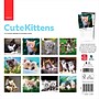 2027 BrownTrout Cute Kittens 12" x 12" Monthly Wall Calendar (9347301107214)~#|#~sp320866222_sc7