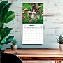 2027 BrownTrout Cute Kittens 12" x 12" Monthly Wall Calendar (9347301107214)~#|#~sp320866225_sc7