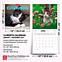 2027 BrownTrout Cute Kittens 12" x 12" Monthly Wall Calendar (9347301107214)~#|#~sp320866227_sc7