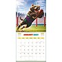2027 BrownTrout Aussie Animals 12" x 12" Monthly Wall Calendar (9347301107054)~#|#~sp320866388_sc7