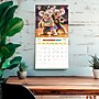 2027 BrownTrout Aussie Animals 12" x 12" Monthly Wall Calendar (9347301107054)~#|#~sp320866389_sc7