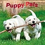 2027 BrownTrout Puppy Pals 12" x 12" Monthly Wall Calendar (9798330713837)~#|#~sp320867426_sc7