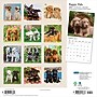 2027 BrownTrout Puppy Pals 12" x 12" Monthly Wall Calendar (9798330713837)~#|#~sp320867427_sc7