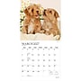 2027 BrownTrout Puppy Pals 12" x 12" Monthly Wall Calendar (9798330713837)~#|#~sp320867428_sc7
