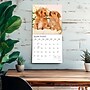 2027 BrownTrout Puppy Pals 12" x 12" Monthly Wall Calendar (9798330713837)~#|#~sp320867431_sc7
