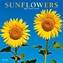 2027 BrownTrout Sunflowers 12" x 12" Monthly Wall Calendar (9798330713851)~#|#~sp320867689_sc7