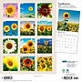 2027 BrownTrout Sunflowers 12" x 12" Monthly Wall Calendar (9798330713851)~#|#~sp320867690_sc7