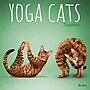 2027 BrownTrout Yoga Cats Together 12" x 12" Monthly Wall Calendar (9798330713516)~#|#~sp320868252_sc7