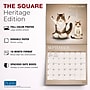 2027 BrownTrout Yoga Cats Together 12" x 12" Monthly Wall Calendar (9798330713516)~#|#~sp320868295_sc7