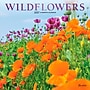 2027 BrownTrout Wildflowers 12" x 12" Monthly Wall Calendar (9798330713899)~#|#~sp320868668_sc7