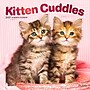 2027 BrownTrout Kitten Cuddles 12" x 12" Monthly Wall Calendar (9798330713721)~#|#~sp320869418_sc7