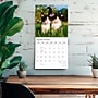 2027 BrownTrout Kitten Cuddles 12" x 12" Monthly Wall Calendar (9798330713721)~#|#~sp320869423_sc7