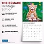 2027 BrownTrout Kitten Cuddles 12" x 12" Monthly Wall Calendar (9798330713721)~#|#~sp320869424_sc7