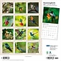 2027 BrownTrout Hummingbirds 12" x 12" Monthly Wall Calendar (9798330713684)~#|#~sp320869514_sc7