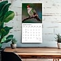 2027 BrownTrout Hummingbirds 12" x 12" Monthly Wall Calendar (9798330713684)~#|#~sp320869536_sc7