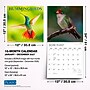 2027 BrownTrout Hummingbirds 12" x 12" Monthly Wall Calendar (9798330713684)~#|#~sp320869538_sc7