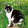 2027 BrownTrout I Love Cats 12" x 12" Monthly Wall Calendar (9798330713691)~#|#~sp320869604_sc7