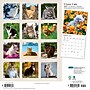 2027 BrownTrout I Love Cats 12" x 12" Monthly Wall Calendar (9798330713691)~#|#~sp320869613_sc7