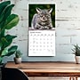 2027 BrownTrout I Love Cats 12" x 12" Monthly Wall Calendar (9798330713691)~#|#~sp320869617_sc7
