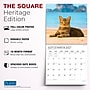 2027 BrownTrout I Love Cats 12" x 12" Monthly Wall Calendar (9798330713691)~#|#~sp320869618_sc7