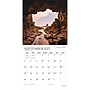 2027 BrownTrout By the Sea 12" x 12" Monthly Wall Calendar (9798330713646)~#|#~sp320870148_sc7