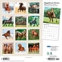 2027 BrownTrout Magnificent Horses 12" x 12" Monthly Wall Calendar (9798330713769)~#|#~sp320870871_sc7