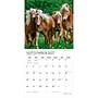 2027 BrownTrout Magnificent Horses 12" x 12" Monthly Wall Calendar (9798330713769)~#|#~sp320870873_sc7
