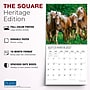 2027 BrownTrout Magnificent Horses 12" x 12" Monthly Wall Calendar (9798330713769)~#|#~sp320870879_sc7