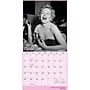 2027 BrownTrout Marilyn Monroe 12" x 12" Monthly Wall Calendar (9798330713349)~#|#~sp320871082_sc7
