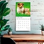 2027 BrownTrout Kittens & Puppies 12" x 12" Monthly Wall Calendar (9798330713738)~#|#~sp320871410_sc7