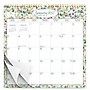 2027 BrownTrout House of Turnowsky 12" x 12" Monthly Calendar (9798330713479)~#|#~sp320874381_sc7