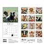 2027 BrownTrout Barnyard Friends 12" x 12" Monthly Wall Calendar (9781773728810)~#|#~sp320874415_sc7