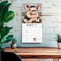 2027 BrownTrout Barnyard Friends 12" x 12" Monthly Wall Calendar (9781773728810)~#|#~sp320874418_sc7