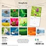 2027 BrownTrout Simplicity 12" x 12" Monthly Wall Calendar (9798330713912)~#|#~sp320874450_sc7