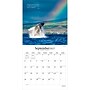 2027 BrownTrout Simplicity 12" x 12" Monthly Wall Calendar (9798330713912)~#|#~sp320874452_sc7