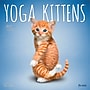 2027 BrownTrout Yoga Kittens 12" x 12" Monthly Wall Calendar (9798330713554)~#|#~sp320874473_sc7