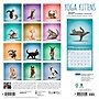 2027 BrownTrout Yoga Kittens 12" x 12" Monthly Wall Calendar (9798330713554)~#|#~sp320874474_sc7