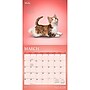 2027 BrownTrout Yoga Kittens 12" x 12" Monthly Wall Calendar (9798330713554)~#|#~sp320874475_sc7