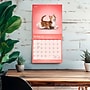 2027 BrownTrout Yoga Kittens 12" x 12" Monthly Wall Calendar (9798330713554)~#|#~sp320874477_sc7