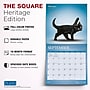 2027 BrownTrout Yoga Kittens 12" x 12" Monthly Wall Calendar (9798330713554)~#|#~sp320874478_sc7
