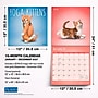 2027 BrownTrout Yoga Kittens 12" x 12" Monthly Wall Calendar (9798330713554)~#|#~sp320874479_sc7