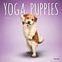 2027 BrownTrout Yoga Puppies 12" x 12" Monthly Wall Calendar (9798330713585)~#|#~sp320874540_sc7
